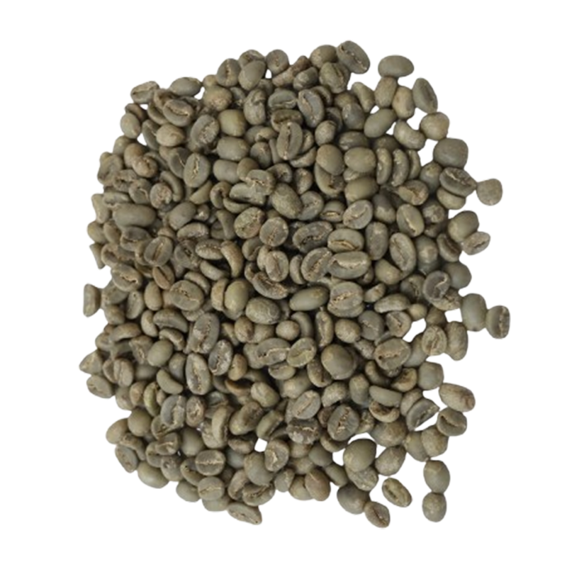 Arabica